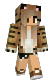 dolib39 Minecraft avatar full body