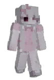 dolliedoom Minecraft avatar full body