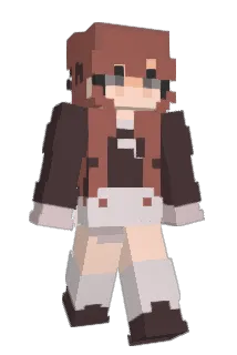 dollwlrd Minecraft avatar full body