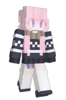 dolphin1019 Minecraft avatar full body