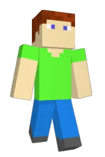 dom_141 Minecraft avatar full body