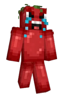 domatess Minecraft avatar full body