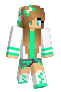 domdom1004 Minecraft avatar full body