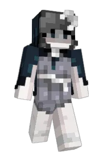 domeiles Minecraft avatar full body