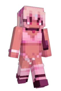 domer_ding Minecraft avatar full body