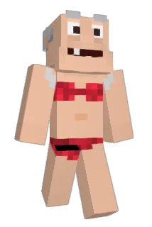 domimarroni Minecraft avatar full body