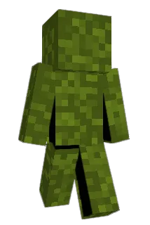 dominosex Minecraft avatar full body
