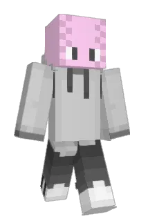 domjunior07 Minecraft avatar full body