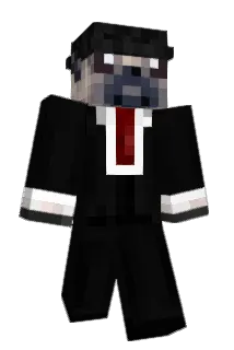 domnul_pug Minecraft avatar full body