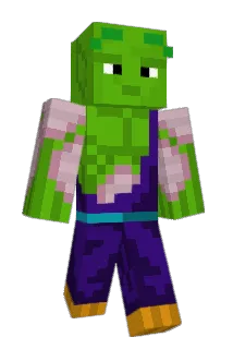 domo790 Minecraft avatar full body