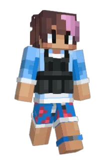 domsim Minecraft avatar full body