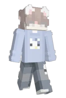 donaltri Minecraft avatar full body
