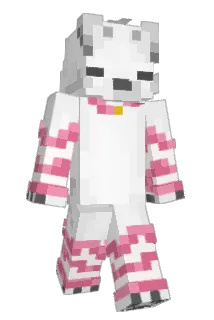 dondondonut1 Minecraft avatar full body
