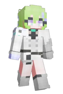dong0456 Minecraft avatar full body