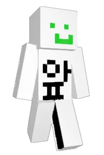 donggeom Minecraft avatar full body