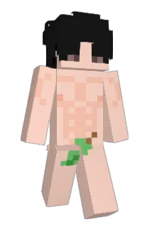 dongkexin Minecraft avatar full body