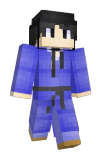 dongogi Minecraft avatar full body