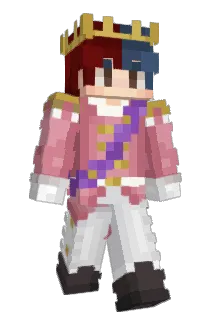 dongwen Minecraft avatar full body