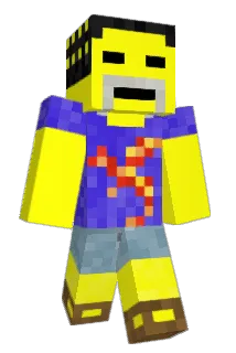 donkeyballs69420 Minecraft avatar full body