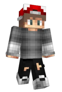 donnacat Minecraft avatar full body