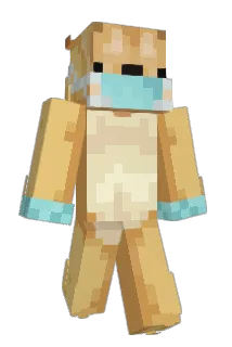 donnieday Minecraft avatar full body