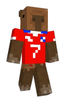 donwonbruh Minecraft avatar full body