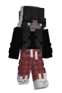 doodlem Minecraft avatar full body