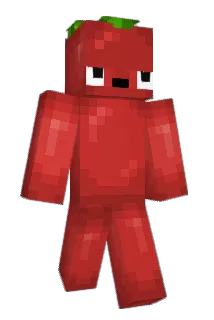 doonerjr Minecraft avatar full body