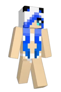 doorky Minecraft avatar full body