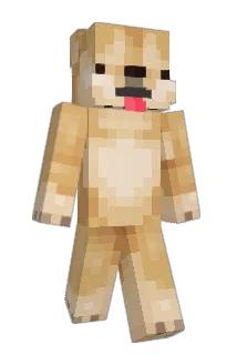 doqes Minecraft avatar full body