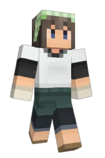 dor0923 Minecraft avatar full body