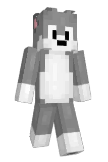 dortia Minecraft avatar full body
