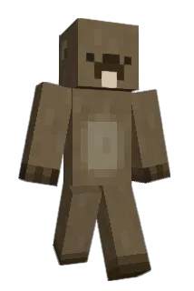 doubleR03 Minecraft avatar full body