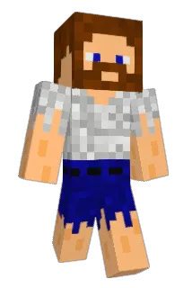 download202 Minecraft avatar full body