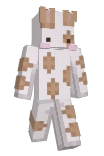 dpfence Minecraft avatar full body