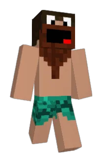 dpost71 Minecraft avatar full body