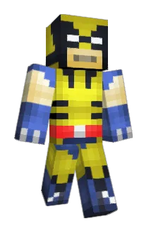 dpro91 Minecraft avatar full body