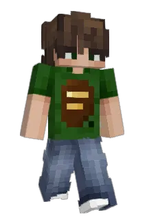 dpwd Minecraft avatar full body