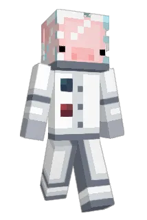 dqmned_ Minecraft avatar full body