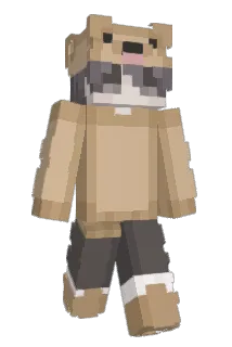 dr_pupper3 Minecraft avatar full body