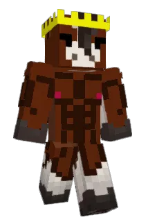 dr_spongesquid Minecraft avatar full body