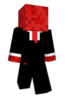 draft470 Minecraft avatar full body