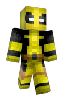 drag0nslayer11 Minecraft avatar full body