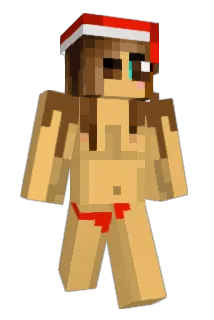 dragonborg Minecraft avatar full body