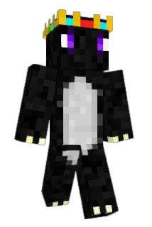 dragonsking2005 Minecraft avatar full body