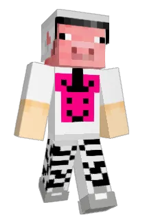 dragonslayer852 Minecraft avatar full body