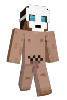 drake17 Minecraft avatar full body