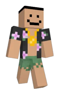 drakkefar69 Minecraft avatar full body
