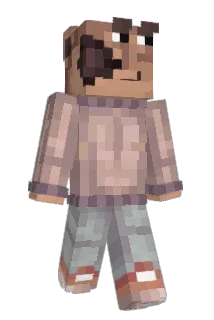 dranikin Minecraft avatar full body