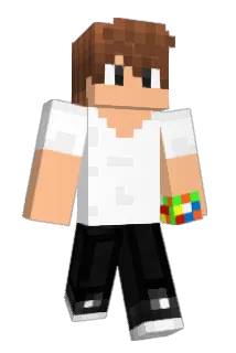 drbr17 Minecraft avatar full body